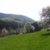 Jaro (12)